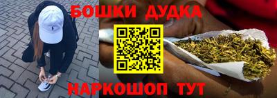 индика Заволжье