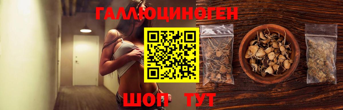 купить наркотики цена  Псилоцибиновые грибы GOLDEN TEACHER  Вход с VPN  Чебоксары 